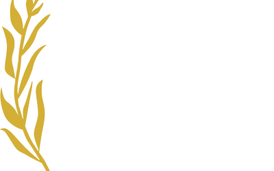 Beverly Hills Film Festival 2017