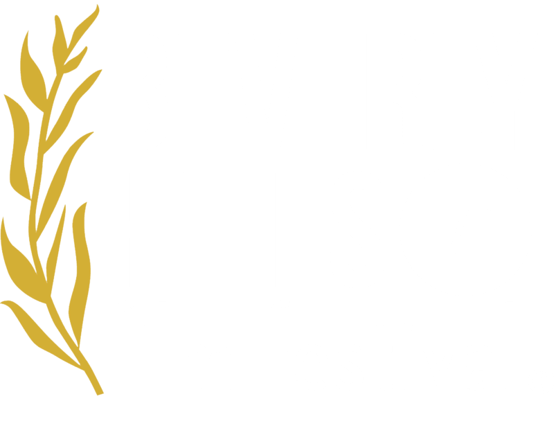 Beverly Hills Film Festival 2017